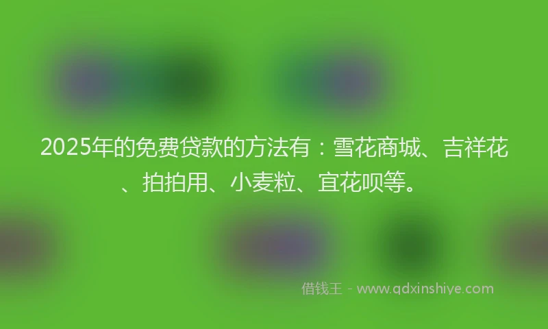 2025年的免费贷款的方法有：雪花商城、吉祥花、拍拍用、小麦粒、宜花呗等。