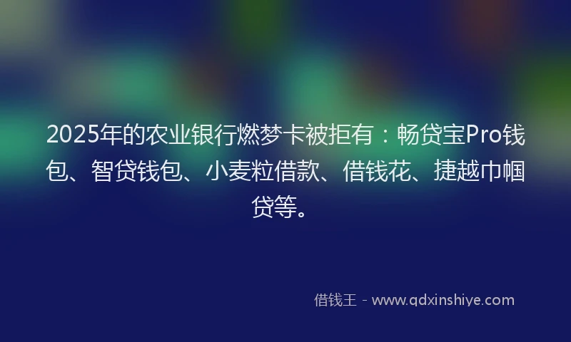 2025年的农业银行燃梦卡被拒有：畅贷宝Pro钱包、智贷钱包、小麦粒借款、借钱花、捷越巾帼贷等。