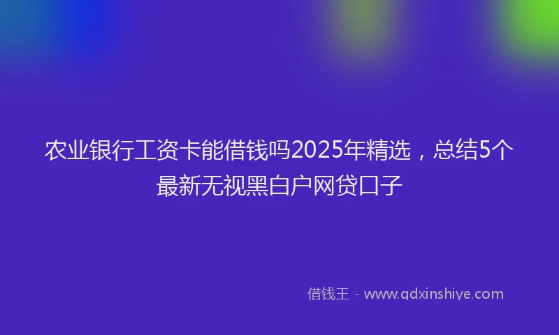 农业银行工资卡能借钱吗2025年精选，总结5个最新无视黑白户网贷口子