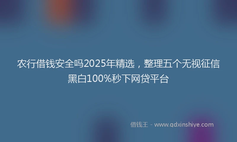 农行借钱安全吗2025年精选，整理五个无视征信黑白100%秒下网贷平台