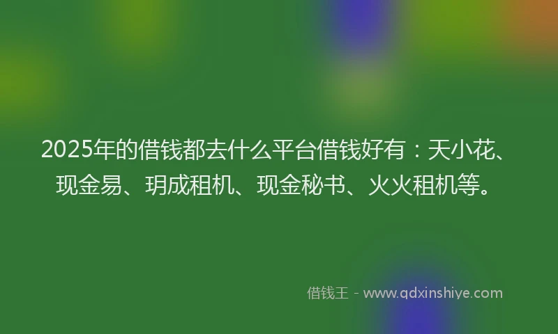 2025年的借钱都去什么平台借钱好有：天小花、现金易、玥成租机、现金秘书、火火租机等。