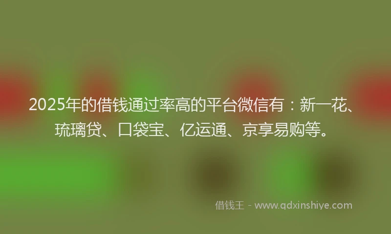 2025年的借钱通过率高的平台微信有：新一花、琉璃贷、口袋宝、亿运通、京享易购等。