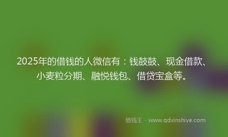 2025年的借钱的人微信有：钱鼓鼓、现金借款、小麦粒分期、融悦钱包、借贷宝盒等。