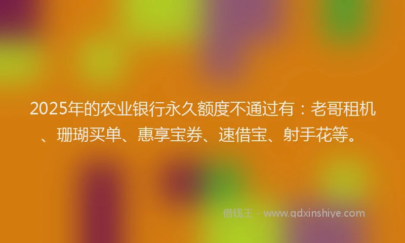 2025年的农业银行永久额度不通过有：老哥租机、珊瑚买单、惠享宝券、速借宝、射手花等。
