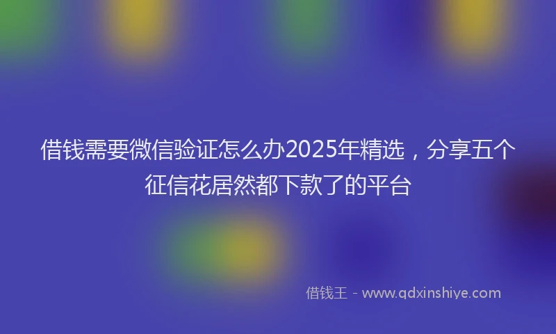 借钱需要微信验证怎么办2025年精选，分享五个征信花居然都下款了的平台