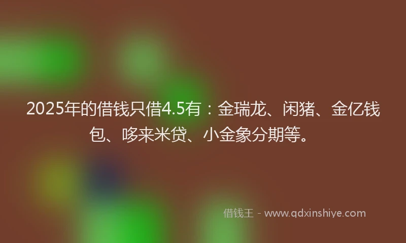 2025年的借钱只借4.5有：金瑞龙、闲猪、金亿钱包、哆来米贷、小金象分期等。