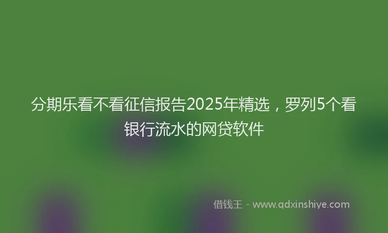 分期乐看不看征信报告2025年精选，罗列5个看银行流水的网贷软件