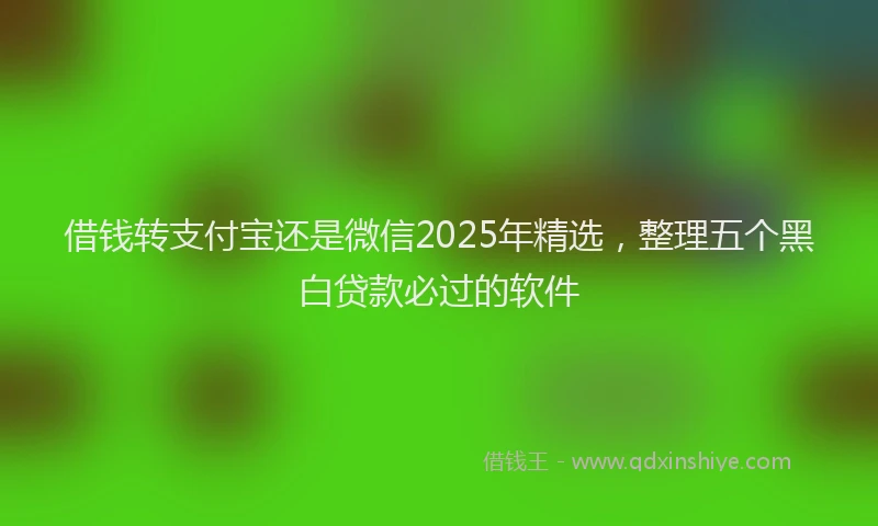 借钱转支付宝还是微信2025年精选，整理五个黑白贷款必过的软件