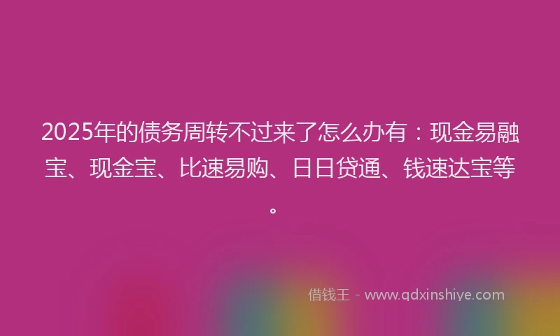 2025年的债务周转不过来了怎么办有：现金易融宝、现金宝、比速易购、日日贷通、钱速达宝等。