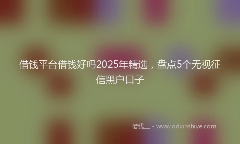 借钱平台借钱好吗2025年精选，盘点5个无视征信黑户口子