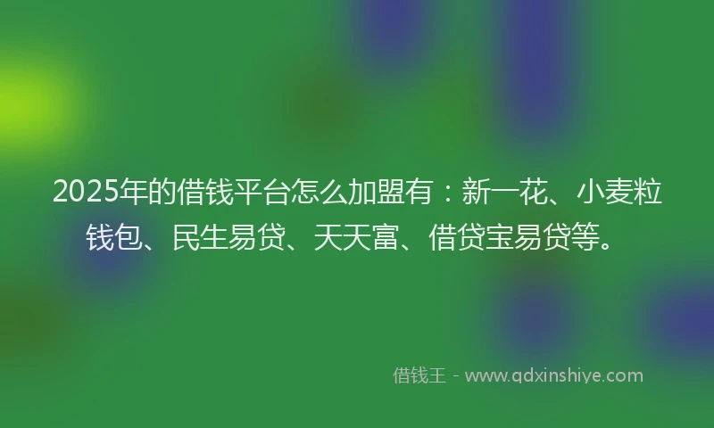 2025年的借钱平台怎么加盟有：新一花、小麦粒钱包、民生易贷、天天富、借贷宝易贷等。