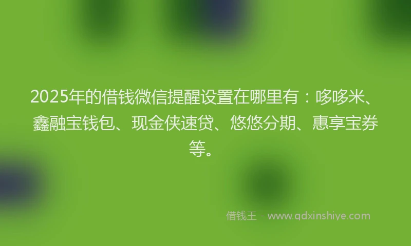 2025年的借钱微信提醒设置在哪里有：哆哆米、鑫融宝钱包、现金侠速贷、悠悠分期、惠享宝券等。
