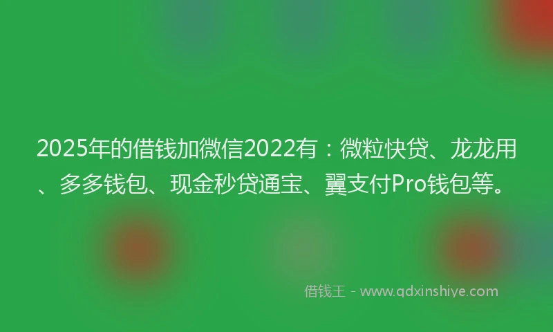 2025年的借钱加微信2022有：微粒快贷、龙龙用、多多钱包、现金秒贷通宝、翼支付Pro钱包等。