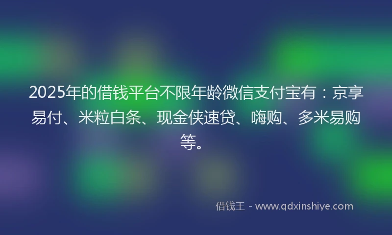 2025年的借钱平台不限年龄微信支付宝有：京享易付、米粒白条、现金侠速贷、嗨购、多米易购等。