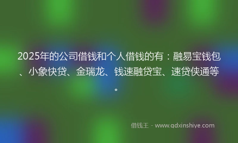 2025年的公司借钱和个人借钱的有：融易宝钱包、小象快贷、金瑞龙、钱速融贷宝、速贷侠通等。