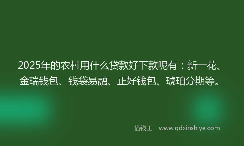 2025年的农村用什么贷款好下款呢有：新一花、金瑞钱包、钱袋易融、正好钱包、琥珀分期等。