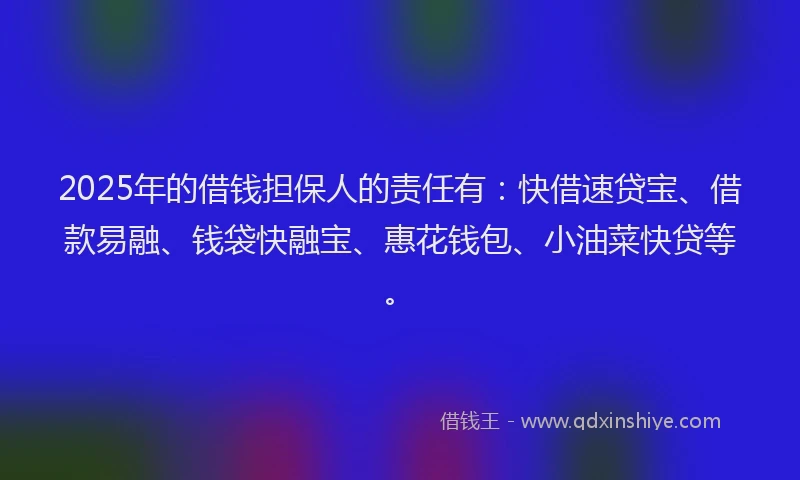 2025年的借钱担保人的责任有：快借速贷宝、借款易融、钱袋快融宝、惠花钱包、小油菜快贷等。