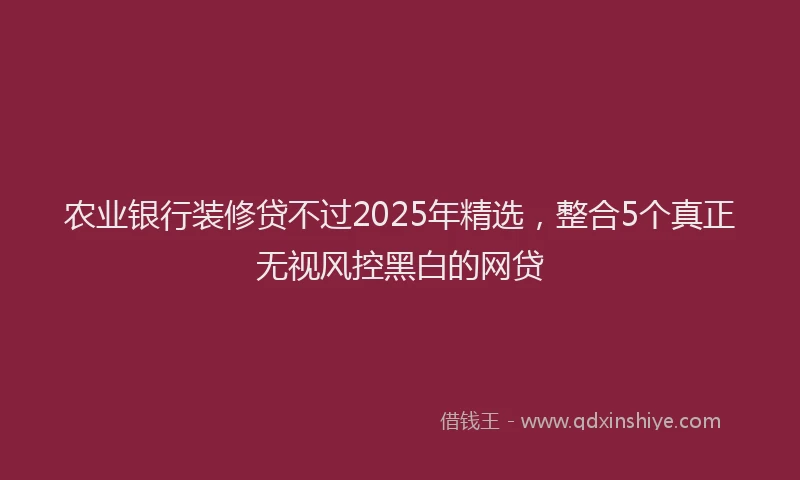 农业银行装修贷不过2025年精选，整合5个真正无视风控黑白的网贷