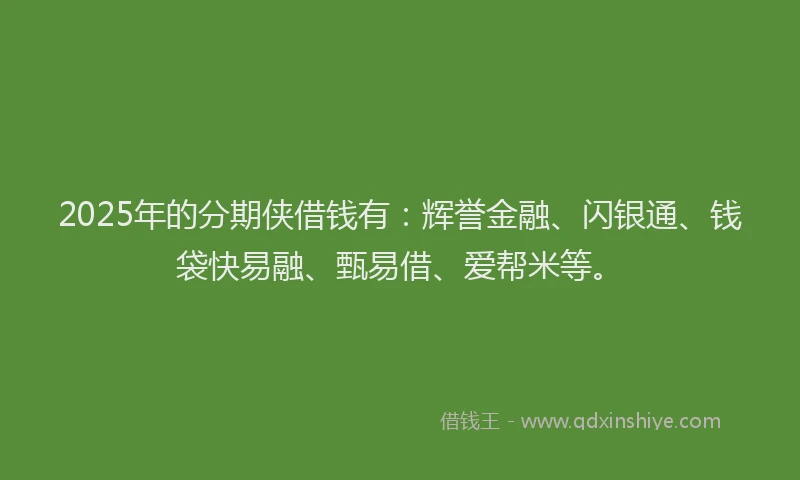 2025年的分期侠借钱有：辉誉金融、闪银通、钱袋快易融、甄易借、爱帮米等。