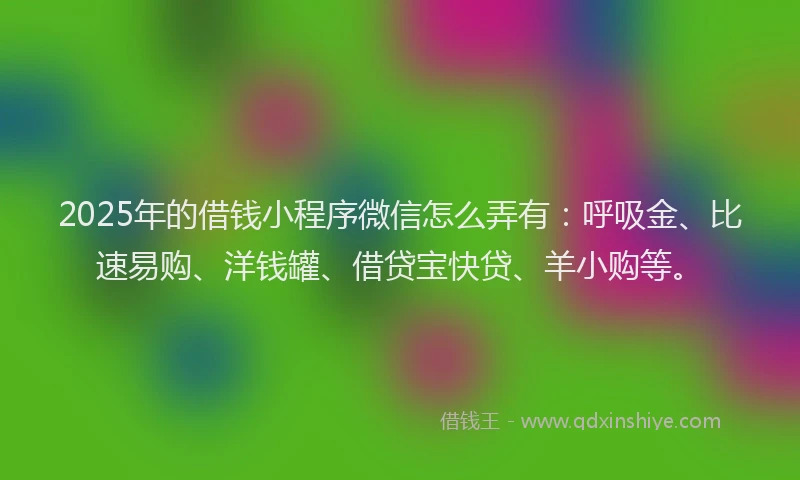 2025年的借钱小程序微信怎么弄有：呼吸金、比速易购、洋钱罐、借贷宝快贷、羊小购等。