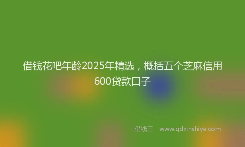借钱花吧年龄2025年精选，概括五个芝麻信用600贷款口子