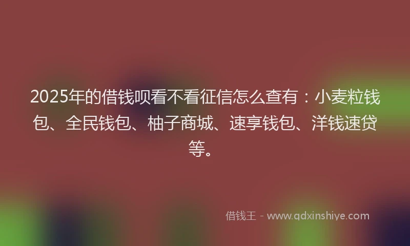 2025年的借钱呗看不看征信怎么查有：小麦粒钱包、全民钱包、柚子商城、速享钱包、洋钱速贷等。
