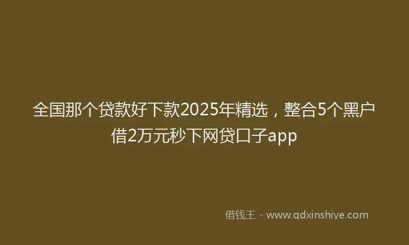 全国那个贷款好下款2025年精选，整合5个黑户借2万元秒下网贷口子app