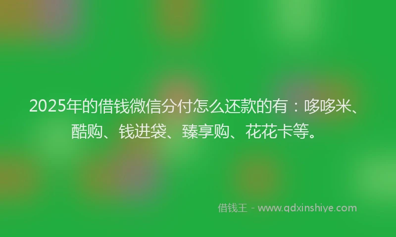 2025年的借钱微信分付怎么还款的有：哆哆米、酷购、钱进袋、臻享购、花花卡等。