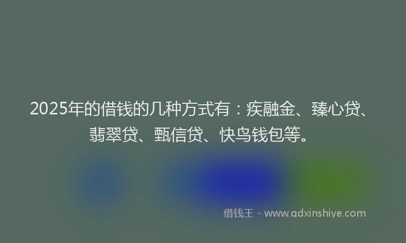 2025年的借钱的几种方式有：疾融金、臻心贷、翡翠贷、甄信贷、快鸟钱包等。