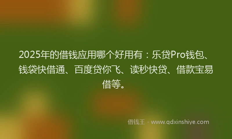 2025年的借钱应用哪个好用有：乐贷Pro钱包、钱袋快借通、百度贷你飞、读秒快贷、借款宝易借等。