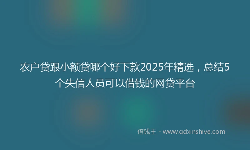 农户贷跟小额贷哪个好下款2025年精选，总结5个失信人员可以借钱的网贷平台