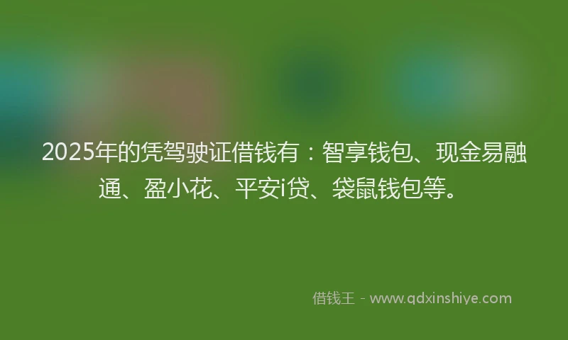 2025年的凭驾驶证借钱有：智享钱包、现金易融通、盈小花、平安i贷、袋鼠钱包等。
