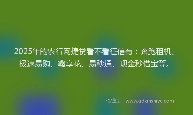 2025年的农行网捷贷看不看征信有：奔跑租机、极速易购、鑫享花、易秒通、现金秒借宝等。