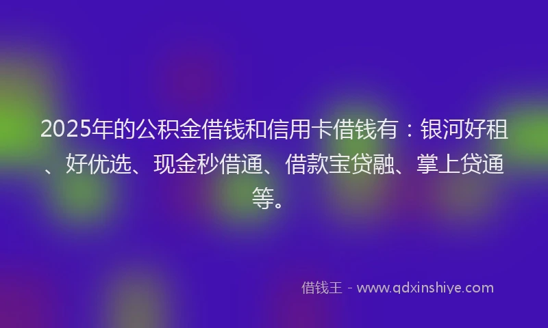 2025年的公积金借钱和信用卡借钱有：银河好租、好优选、现金秒借通、借款宝贷融、掌上贷通等。
