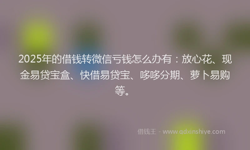 2025年的借钱转微信亏钱怎么办有：放心花、现金易贷宝盒、快借易贷宝、哆哆分期、萝卜易购等。