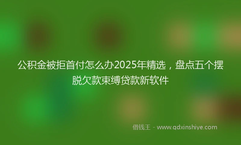 公积金被拒首付怎么办2025年精选，盘点五个摆脱欠款束缚贷款新软件