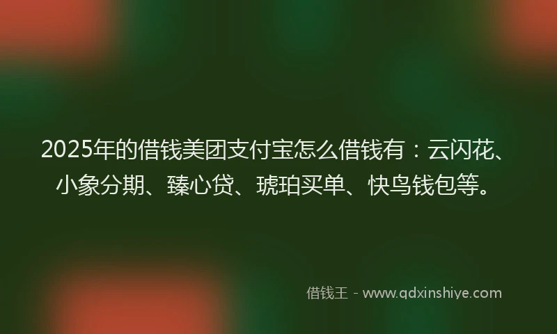 2025年的借钱美团支付宝怎么借钱有：云闪花、小象分期、臻心贷、琥珀买单、快鸟钱包等。