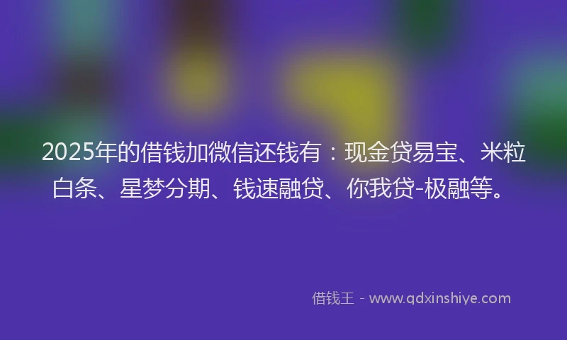 2025年的借钱加微信还钱有：现金贷易宝、米粒白条、星梦分期、钱速融贷、你我贷-极融等。