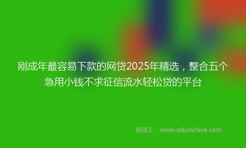 刚成年最容易下款的网贷2025年精选，整合五个急用小钱不求征信流水轻松贷的平台