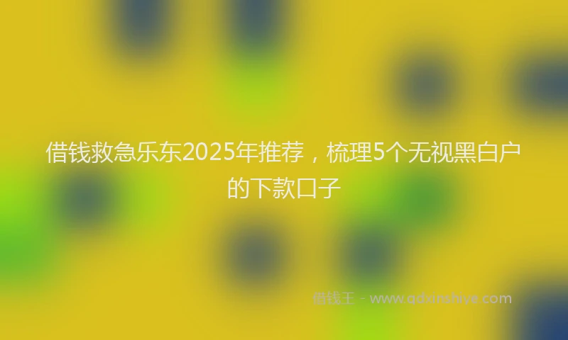 借钱救急乐东2025年推荐，梳理5个无视黑白户的下款口子