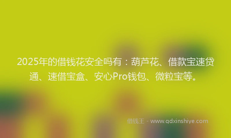 2025年的借钱花安全吗有：葫芦花、借款宝速贷通、速借宝盒、安心Pro钱包、微粒宝等。