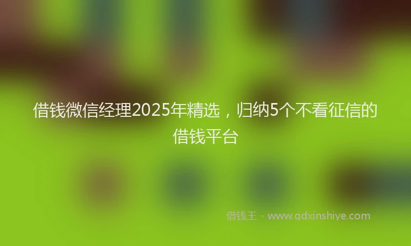 借钱微信经理2025年精选，归纳5个不看征信的借钱平台