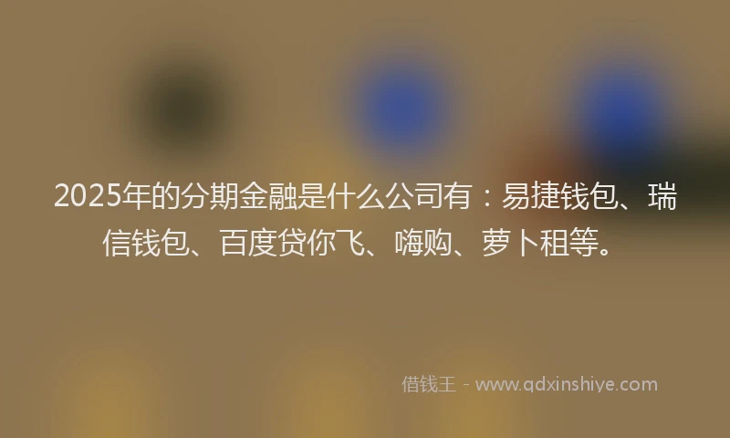 2025年的分期金融是什么公司有：易捷钱包、瑞信钱包、百度贷你飞、嗨购、萝卜租等。