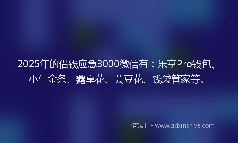 2025年的借钱应急3000微信有：乐享Pro钱包、小牛金条、鑫享花、芸豆花、钱袋管家等。