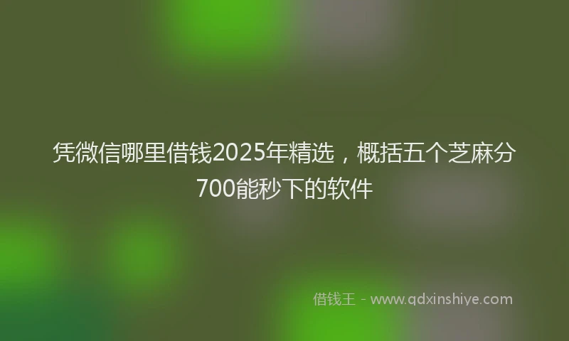 凭微信哪里借钱2025年精选，概括五个芝麻分700能秒下的软件
