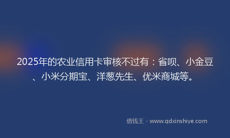 2025年的农业信用卡审核不过有：省呗、小金豆、小米分期宝、洋葱先生、优米商城等。
