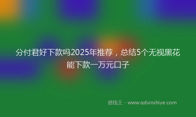 分付君好下款吗2025年推荐，总结5个无视黑花能下款一万元口子