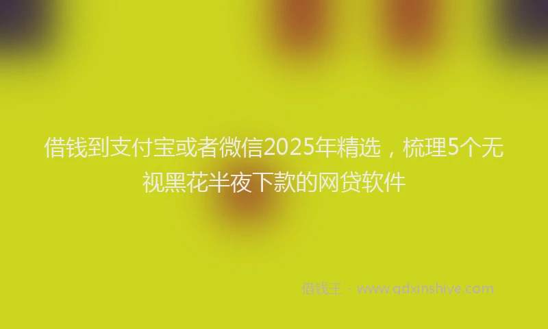 借钱到支付宝或者微信2025年精选，梳理5个无视黑花半夜下款的网贷软件