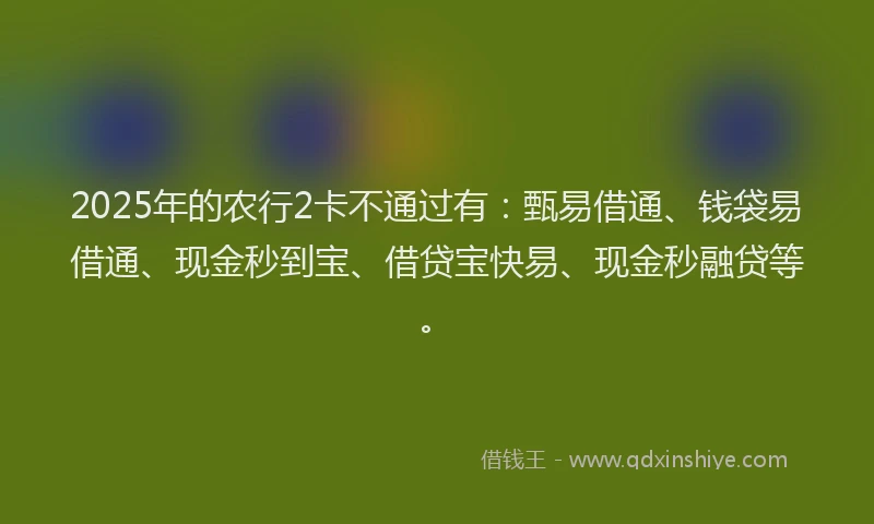 2025年的农行2卡不通过有：甄易借通、钱袋易借通、现金秒到宝、借贷宝快易、现金秒融贷等。