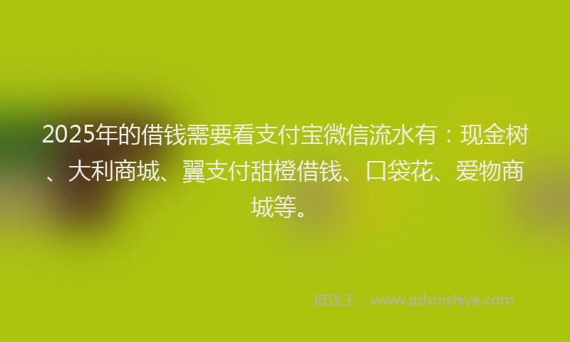 2025年的借钱需要看支付宝微信流水有：现金树、大利商城、翼支付甜橙借钱、口袋花、爱物商城等。